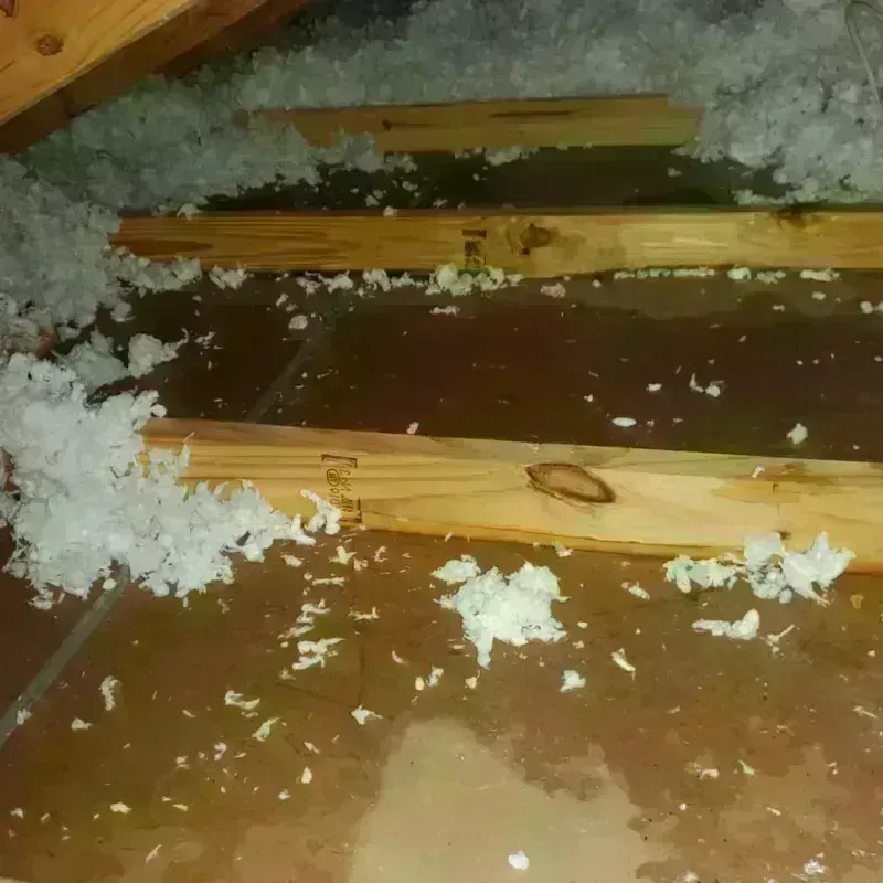 Attic Water Damage in Sylacauga, AL