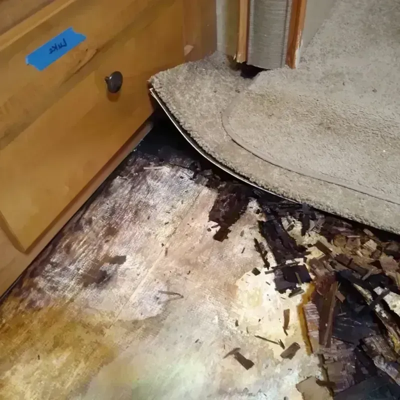 Wood Floor Water Damage in Sylacauga, AL